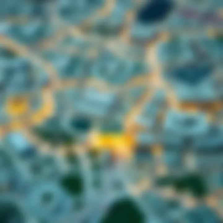 Visual guide on neighborhood evaluations using the Dubai land location map