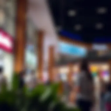 A community event taking place at Oasis Mall Centrepoint, highlighting its role in local engagement.