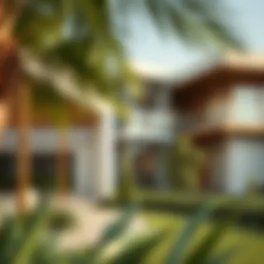 Modern architecture in sustainable living spaces