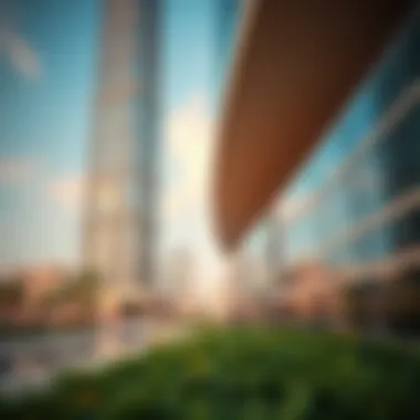 Cultural representation in the design of the Reflection Tower