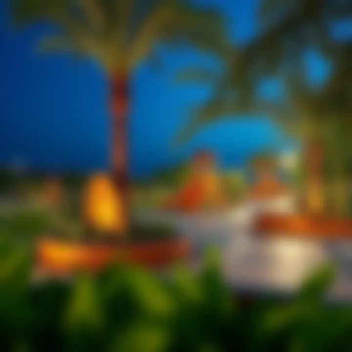 Vibrant amenities in The Springs including parks and recreational facilities