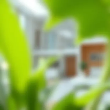 Guide to Mortgage Application Essentials Visual guide to mortgage application essentials