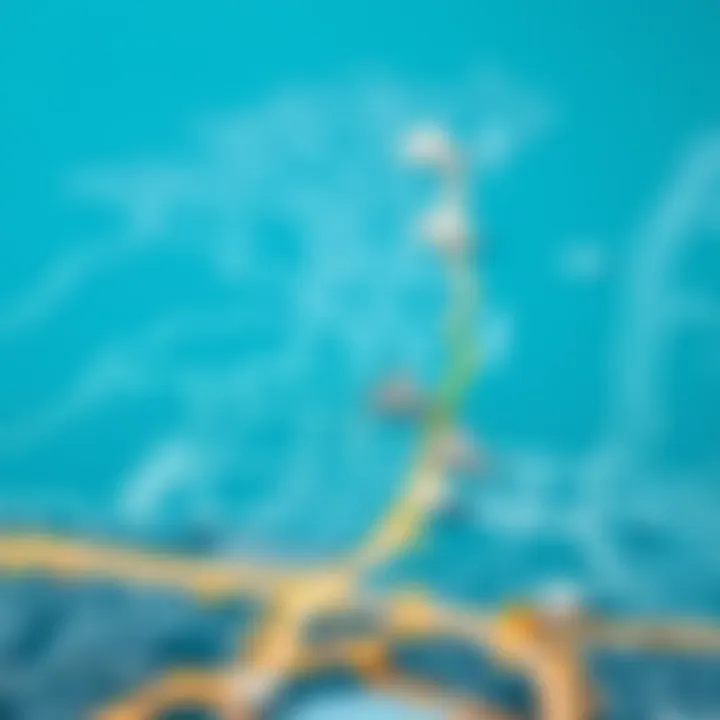 Map of Dubai highlighting property locations with Makani numbers
